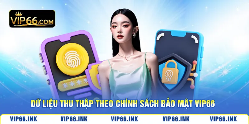Dữ liệu thu thập theo chính sách bảo mật VIP66